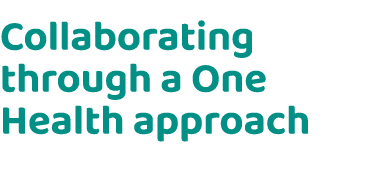 Collaborating through a One Health approach
