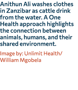 Anithun Ali washes clothes in Zanzibar as cattle drink from the water. A One Health approach highlights the connectio...