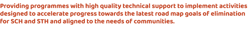 Providing programmes with high quality technical support to implement activities designed to accelerate progress towa...