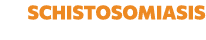 Schistosomiasis